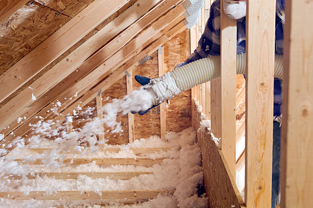 Best Eco-Friendly Insulation Solutions  in Sturgeon Bay, WI